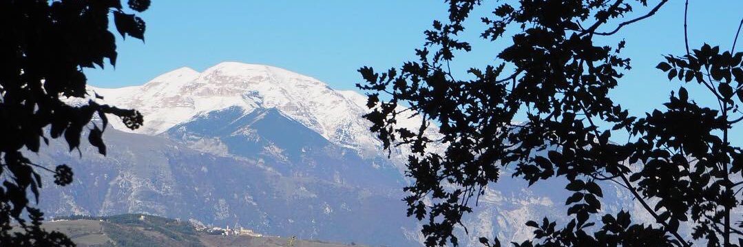 Richard #Takephotosbehappy 📷🌞 banner