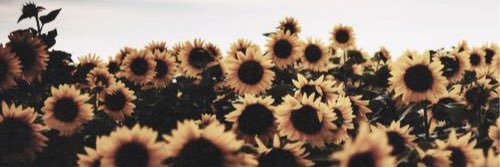 _loreeena25's profile banner image