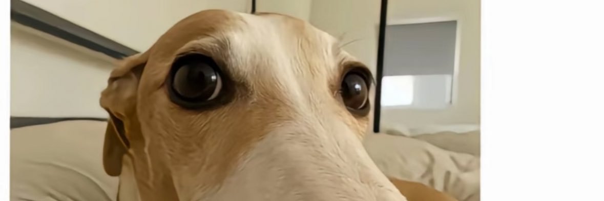 你桃哥「回归版」 banner