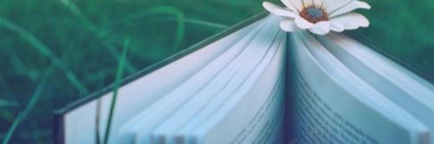 ShereenLuna's profile banner image