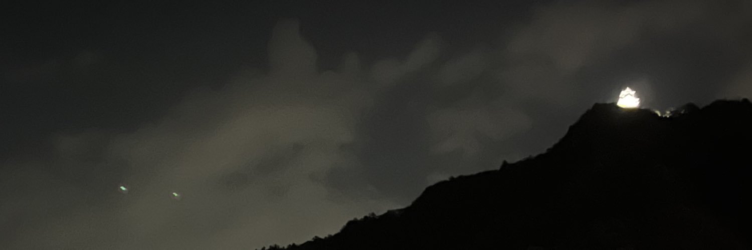 🖖糸屯・アロハ・パーティー🤙 banner