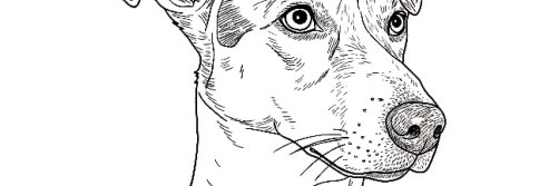 JeanetteMV's profile banner image