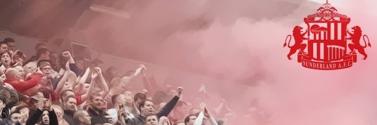PineVinyl banner