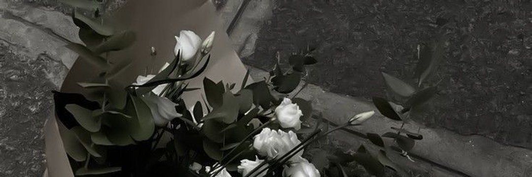 Seyaa banner