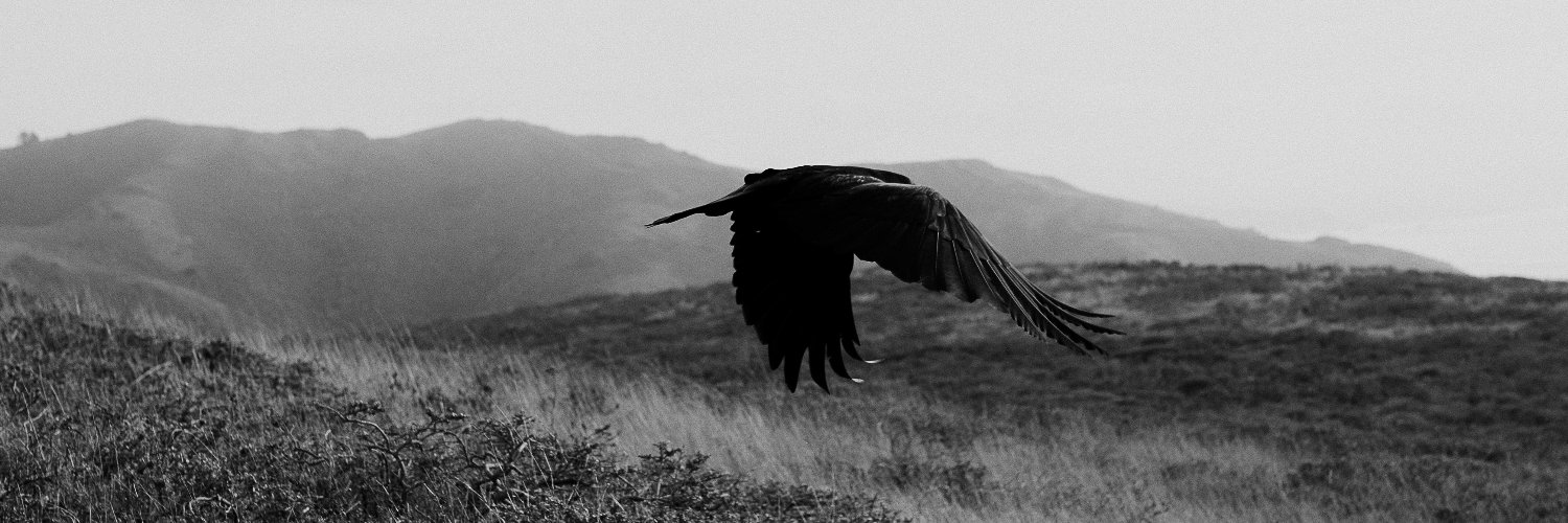 First of Kind banner