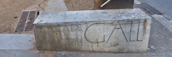 placadelgall Profile Banner