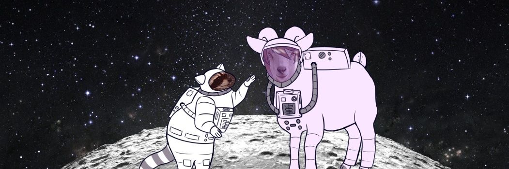JoshMapache banner
