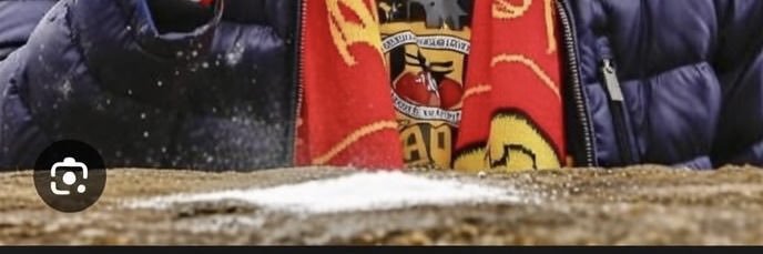 Jan willem van sos banner