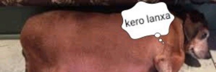 muçu 🍎🍏 banner