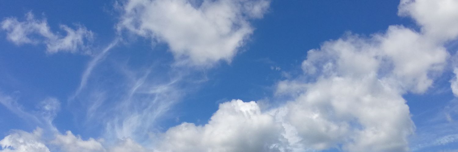 SimianTwin's profile banner image