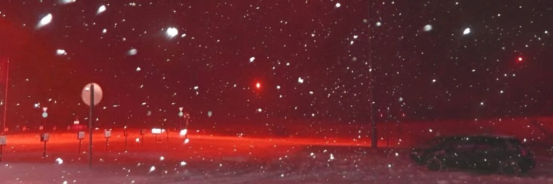 Cat💤🆖️ banner