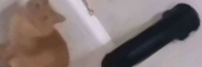 Carl_Da_Mango's profile banner image
