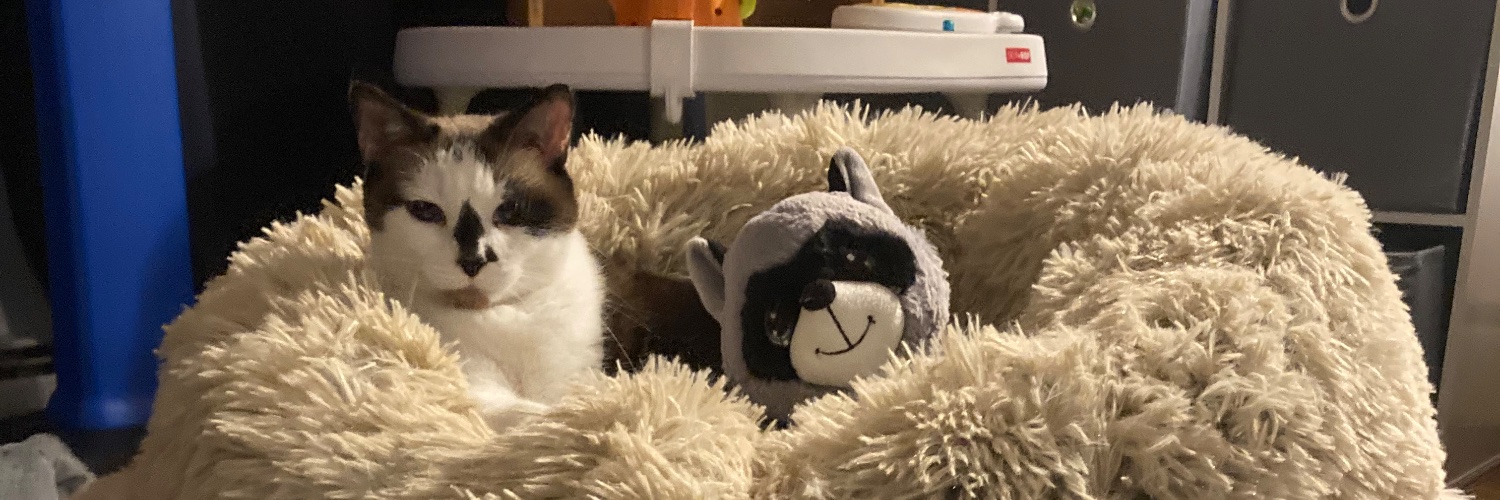 dwightcodr's profile banner image