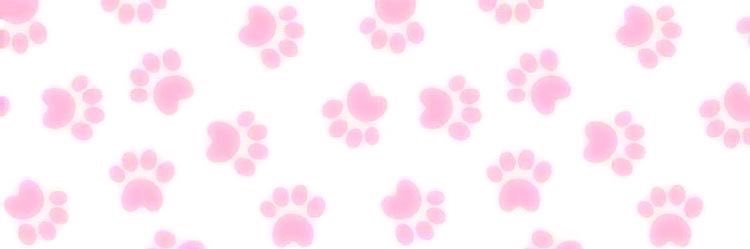 mia 𐂯 .ᐟ⸝⸝ banner