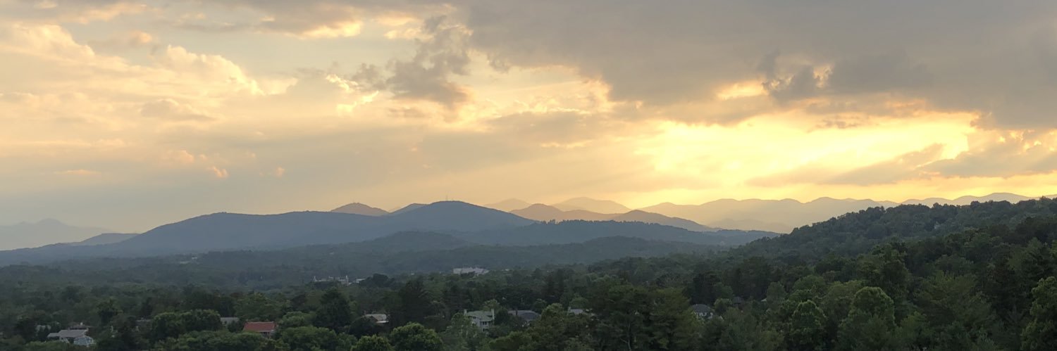 rayranson's profile banner image