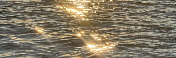 __Ananda333 Profile Banner