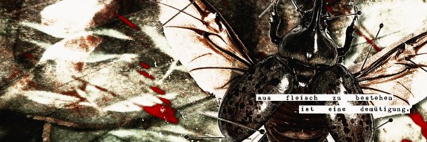 hypopharyx Profile Banner