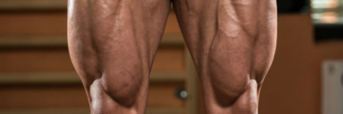 DadaDodo15881's profile banner image
