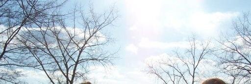 Lindz626's profile banner image