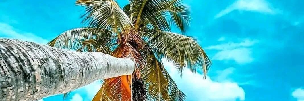 Oleije's profile banner image