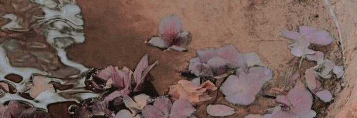 ­⏜ ­­ ⸰ 𝐾𝑅𝑂𝐾𝑂𝑆𓄹 ࣪ ˖ banner