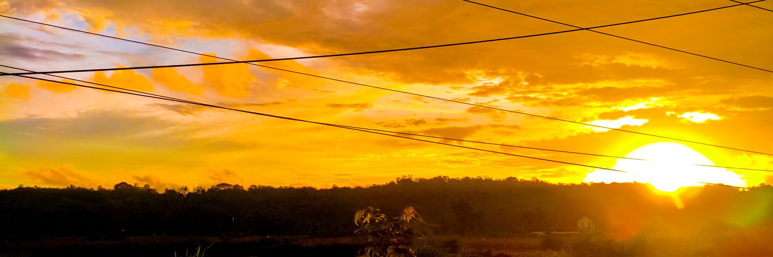 bayy banner