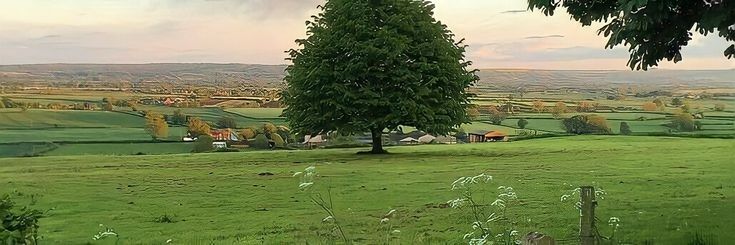 𝐉𝐢𝐲𝐮. banner