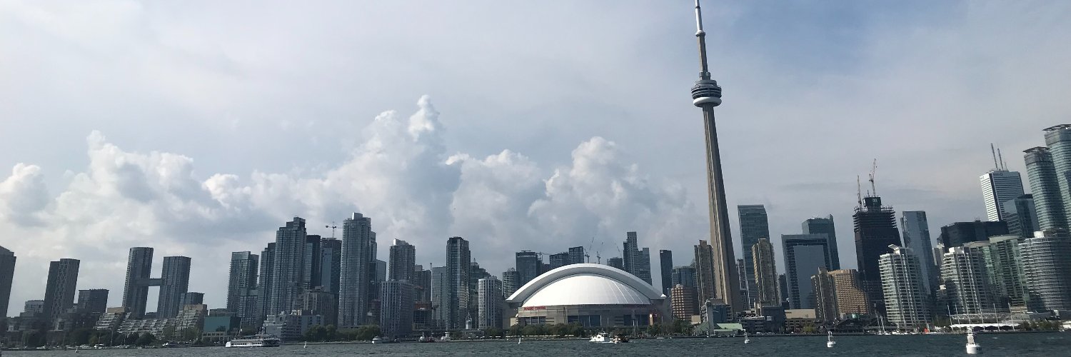 DianneSaxe's profile banner image