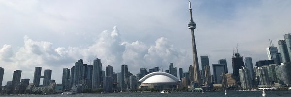 DianneSaxe Profile Banner