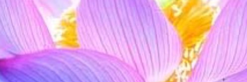 brookdub's profile banner image