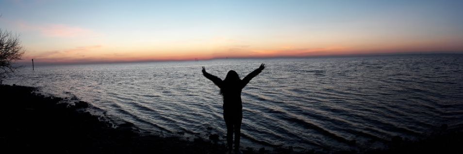 D_aniela1222's profile banner image