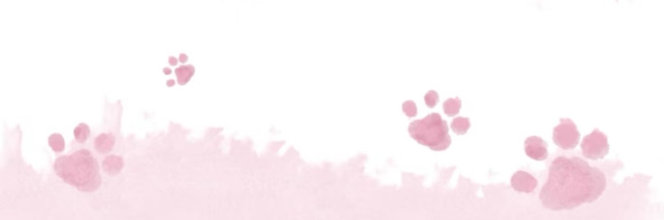 小开 banner