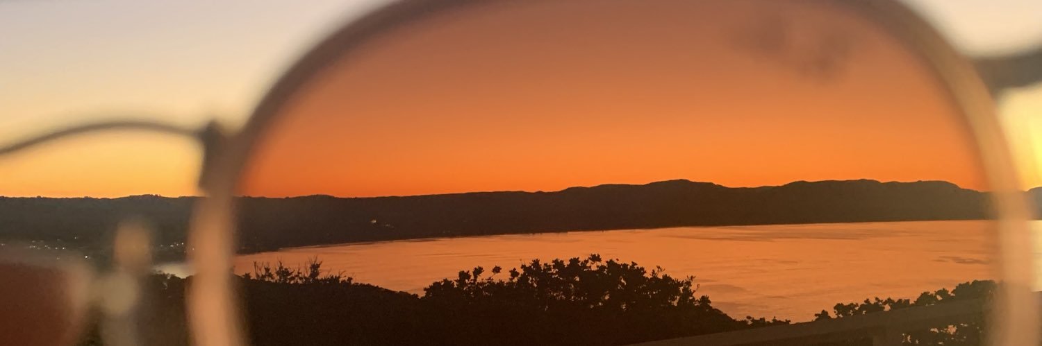 Lu_falkenbach's profile banner image