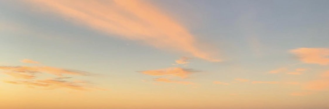 _dorsa's profile banner image