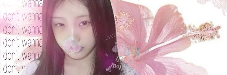 lua 🎀 banner