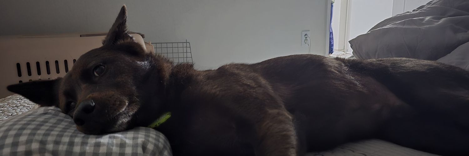 rilted's profile banner image