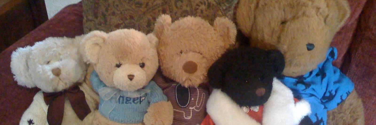 wilsonbear's profile banner image