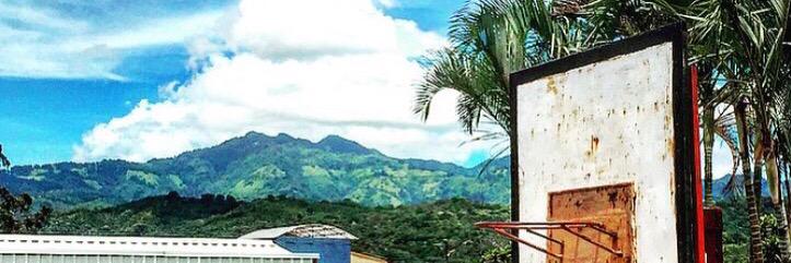TaylorMontero's profile banner image
