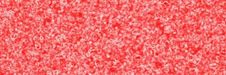⚛️карамболь🇺🇦 banner