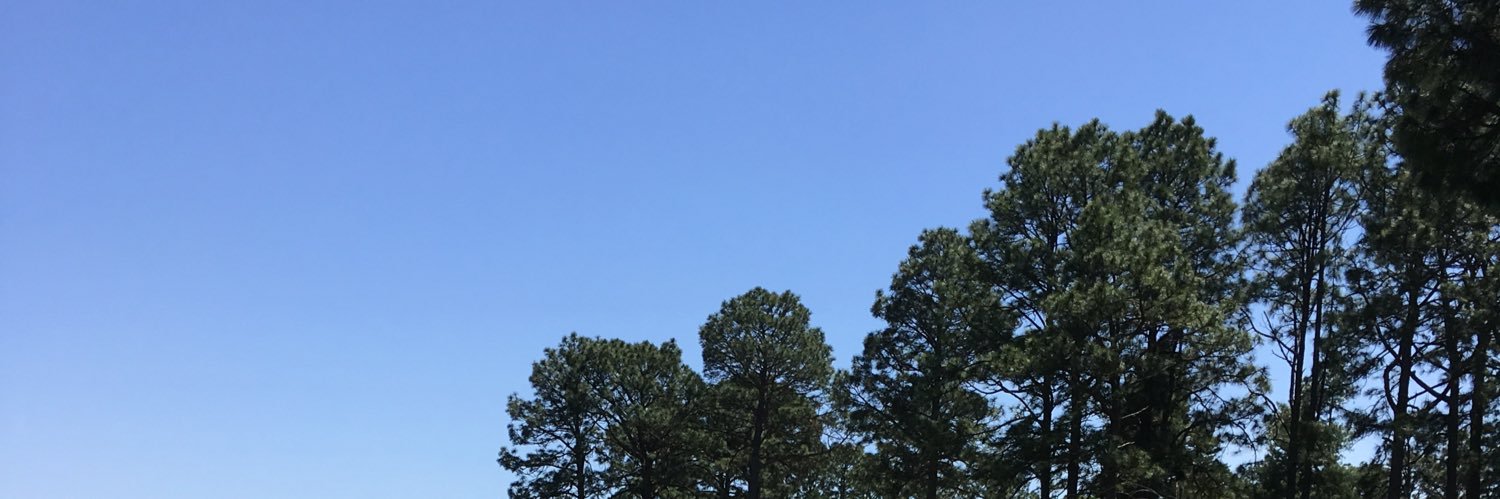 Haileyjms's profile banner image