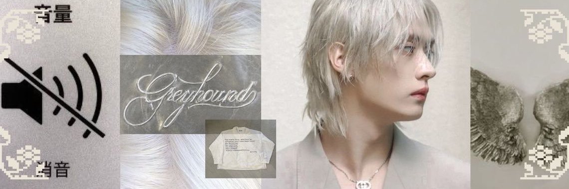 rine ˚˖𓍢ִ໋❀ banner