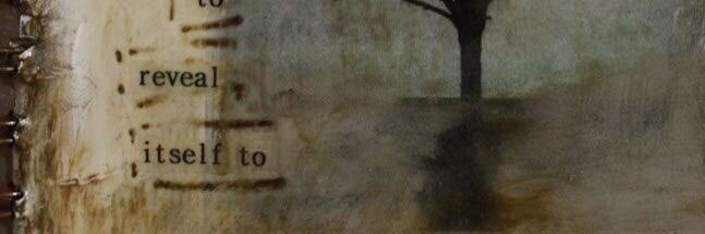 Chrysanthemum banner