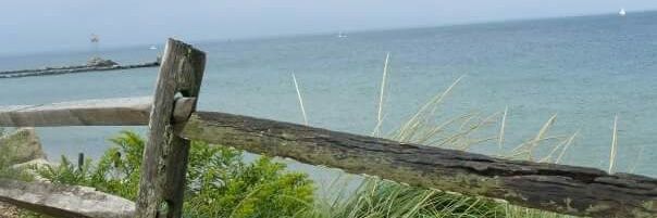 sarahsee • • banner