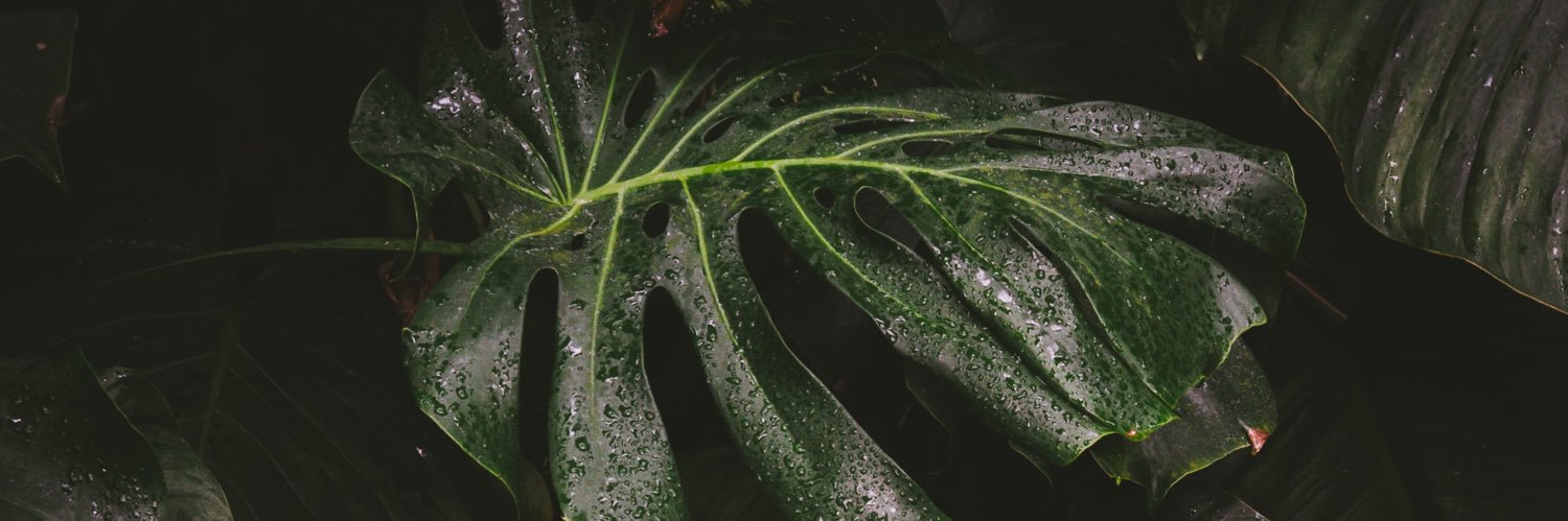 losilid's profile banner image