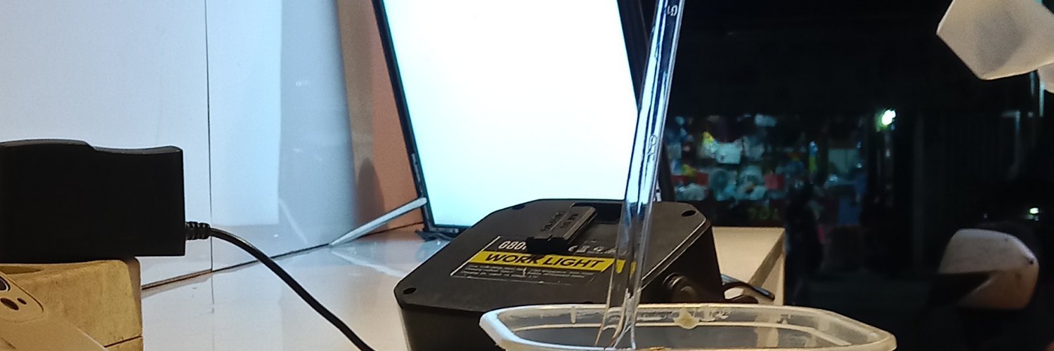 bilqiesvr's profile banner image