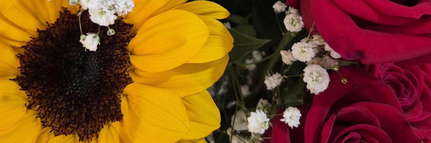 Thamarlor's profile banner image