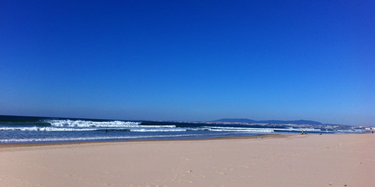 Helen Carvalho banner