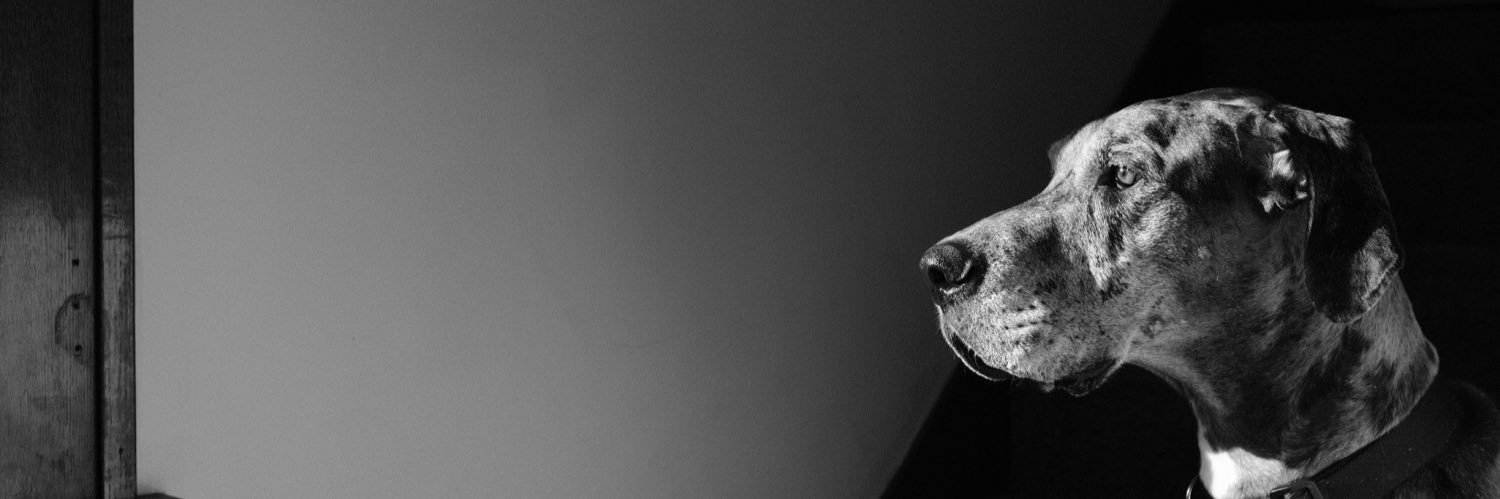 IanMCrosby's profile banner image