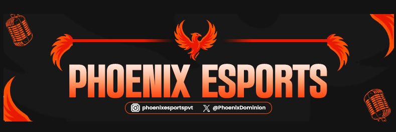 Phoenix Esports banner