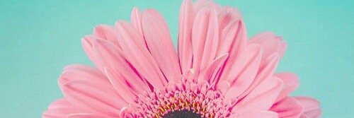 jannaeu's profile banner image